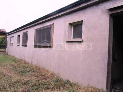 immagine annuncio 3 di 7