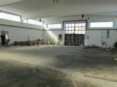 immagine annuncio 4 di 7