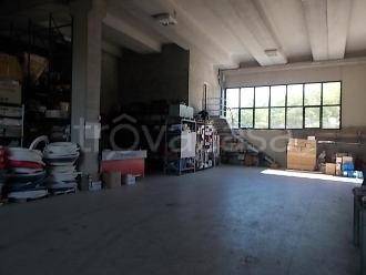 immagine annuncio 5 di 8