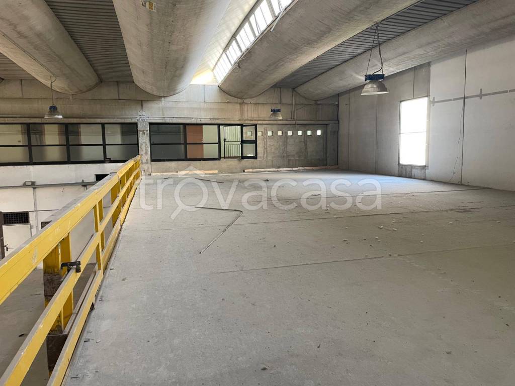 immagine annuncio 6 di 14