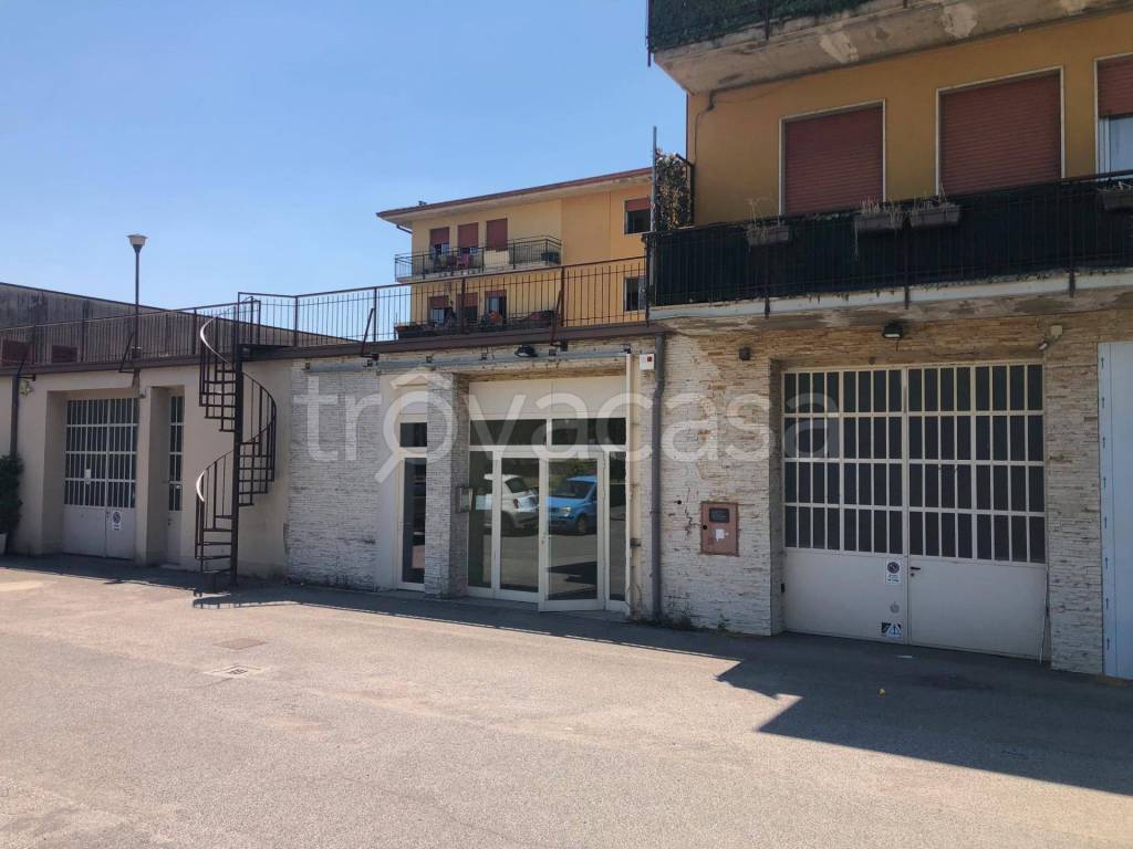 immagine annuncio 11 di 15