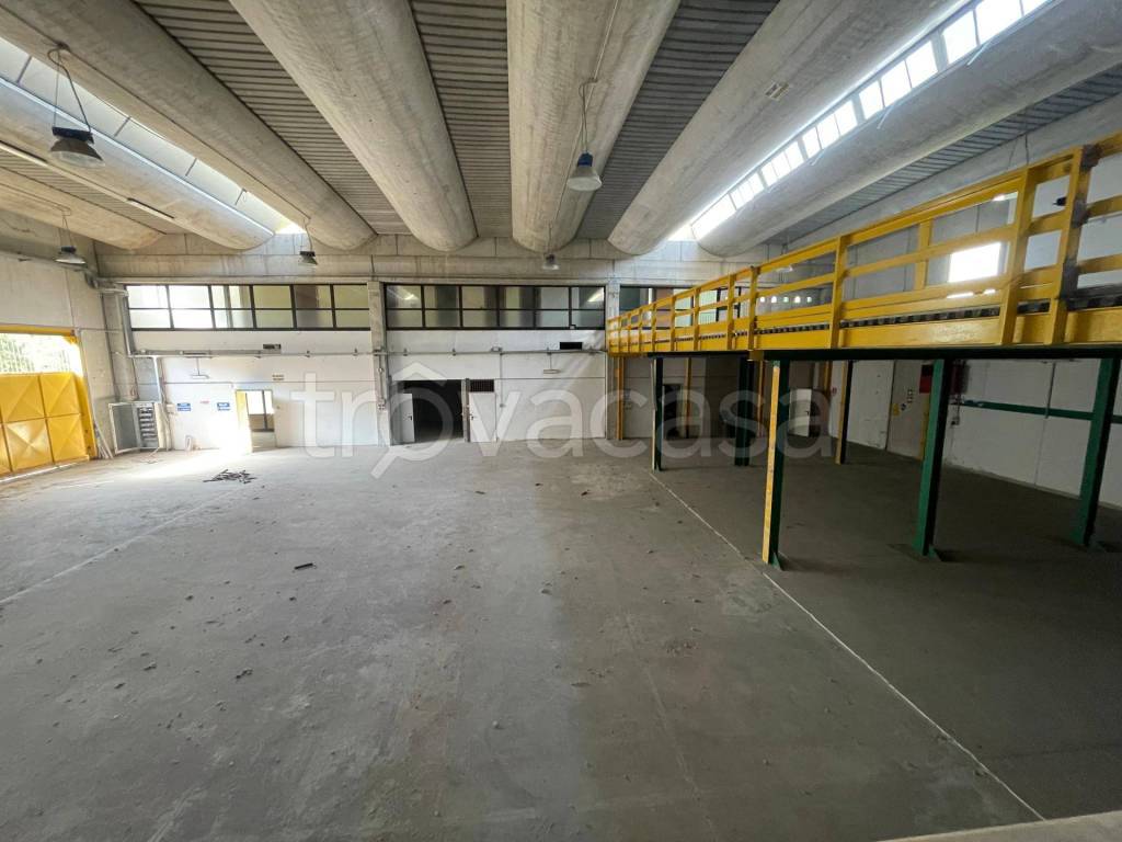 immagine annuncio 7 di 14