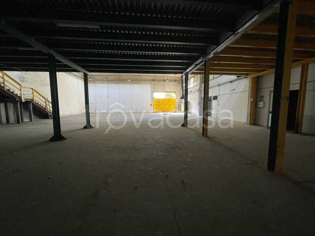 immagine annuncio 8 di 14