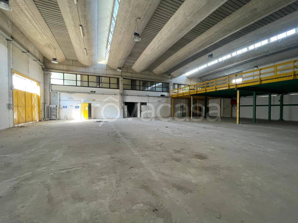 immagine annuncio 9 di 14