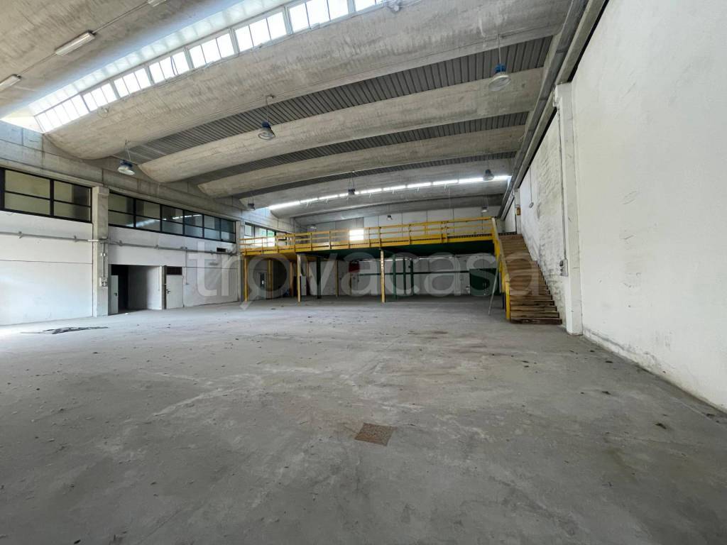 immagine annuncio 12 di 14