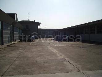 immagine annuncio 4 di 6