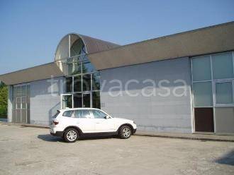 immagine annuncio 5 di 6