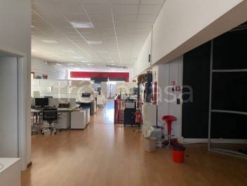 immagine annuncio 1 di 7