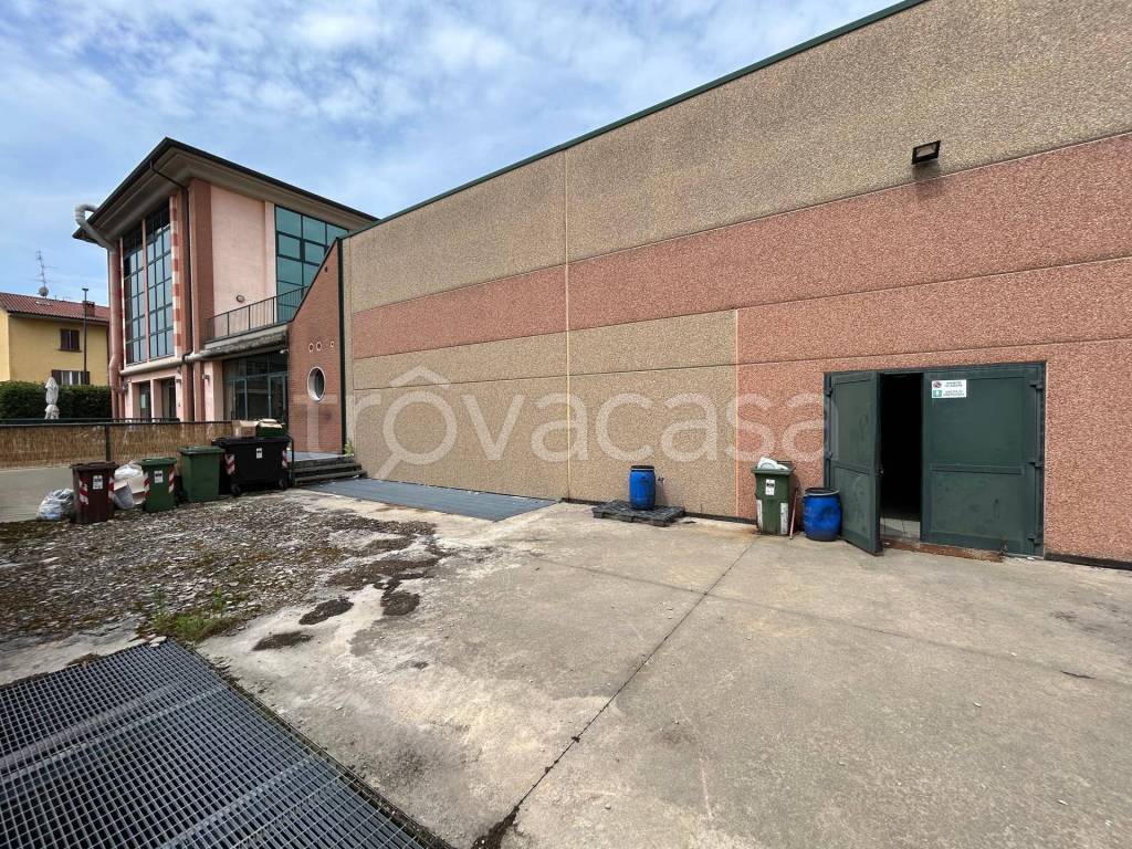 immagine annuncio 4 di 15