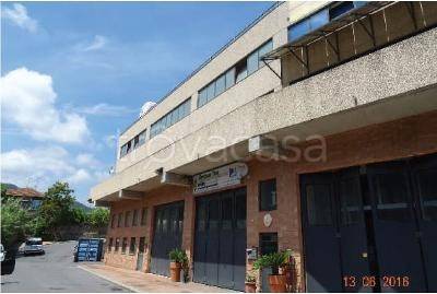 immagine annuncio 3 di 7