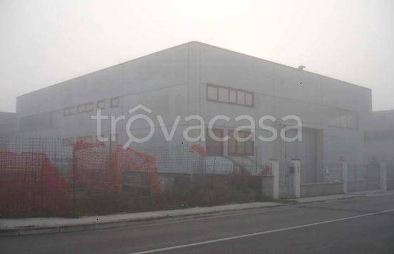 immagine annuncio 4 di 8