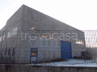 immagine annuncio 3 di 9