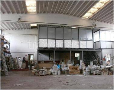 immagine annuncio 6 di 10