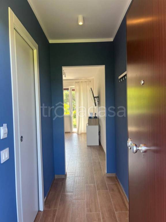 immagine annuncio 2 di 12