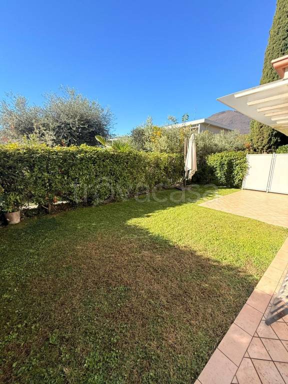 immagine annuncio 4 di 12