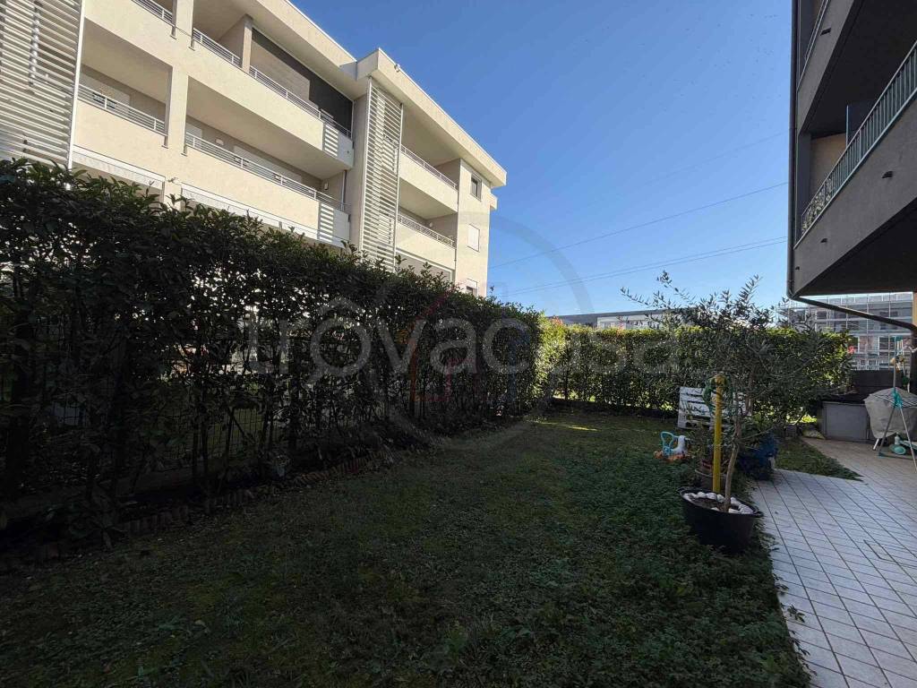 immagine annuncio 6 di 15