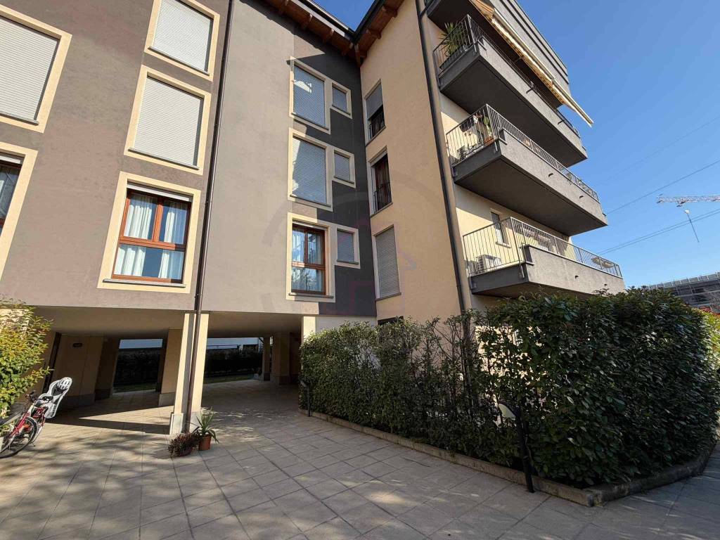 immagine annuncio 11 di 15