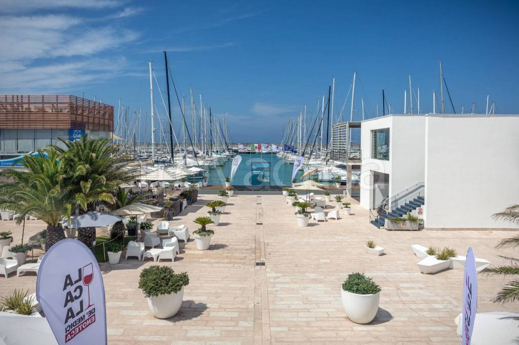 immagine annuncio 6 di 12