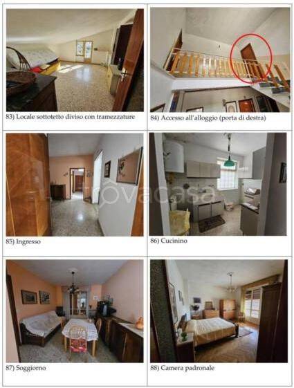 immagine annuncio 2 di 7