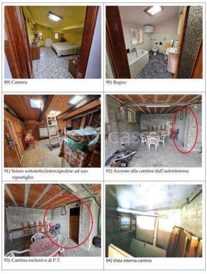 immagine annuncio 3 di 7