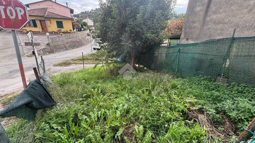 immagine annuncio 10 di 12