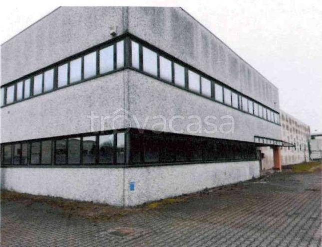 immagine annuncio 2 di 7