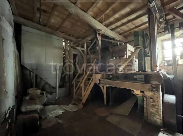 immagine annuncio 6 di 14