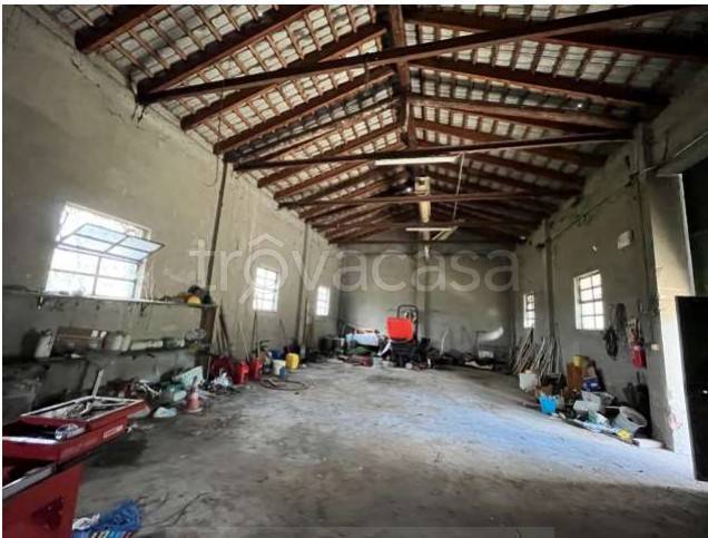 immagine annuncio 11 di 14