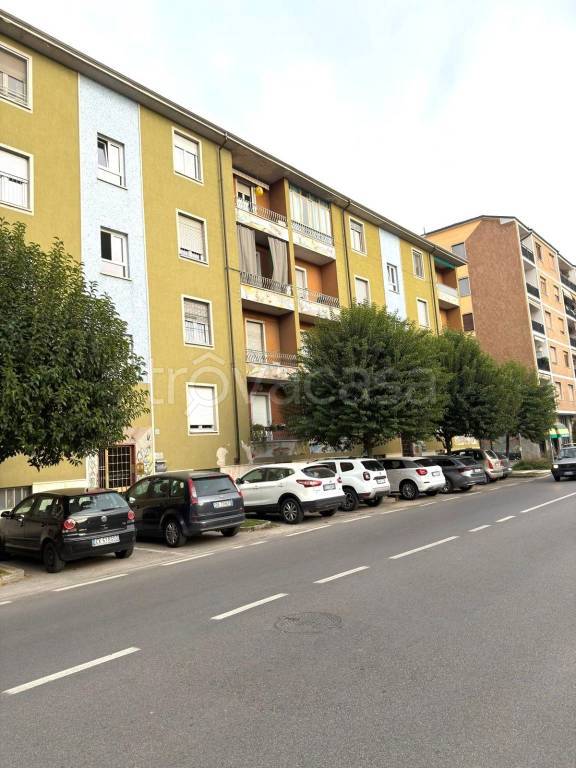 immagine annuncio 5 di 8