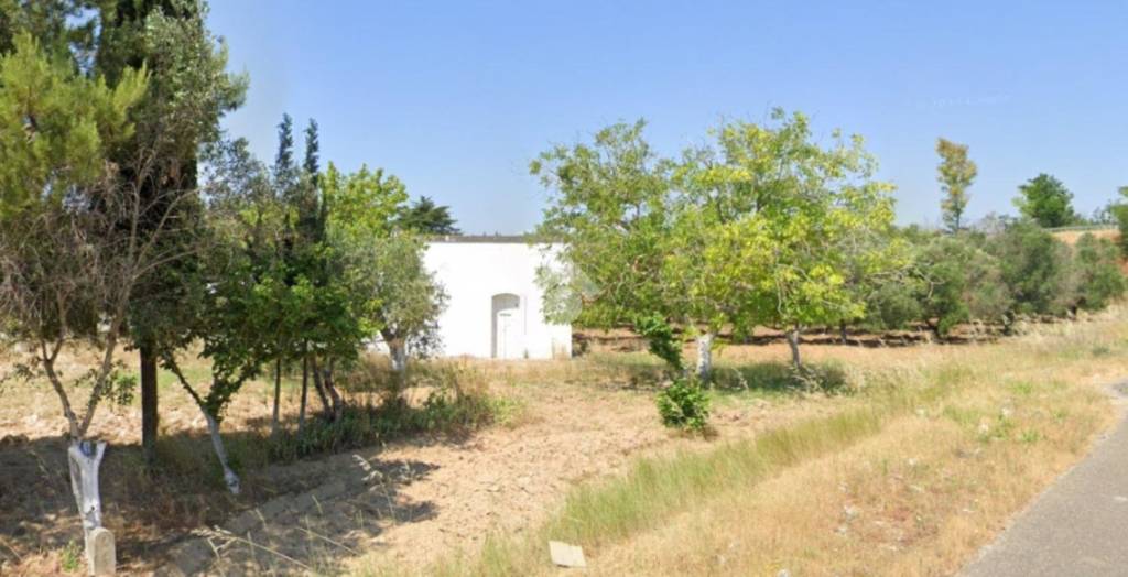 immagine annuncio 4 di 11