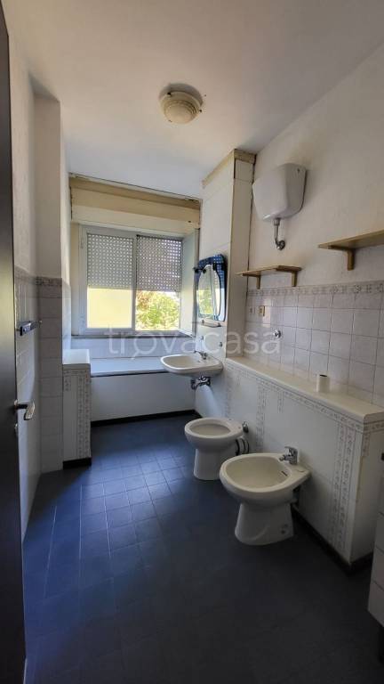 immagine annuncio 10 di 14