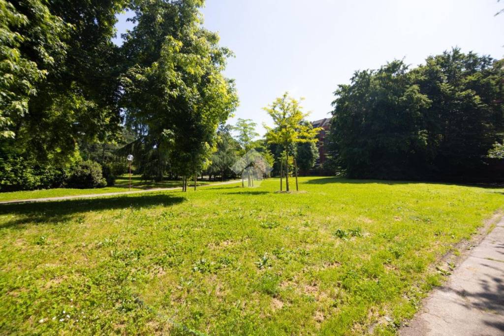 immagine annuncio 12 di 13