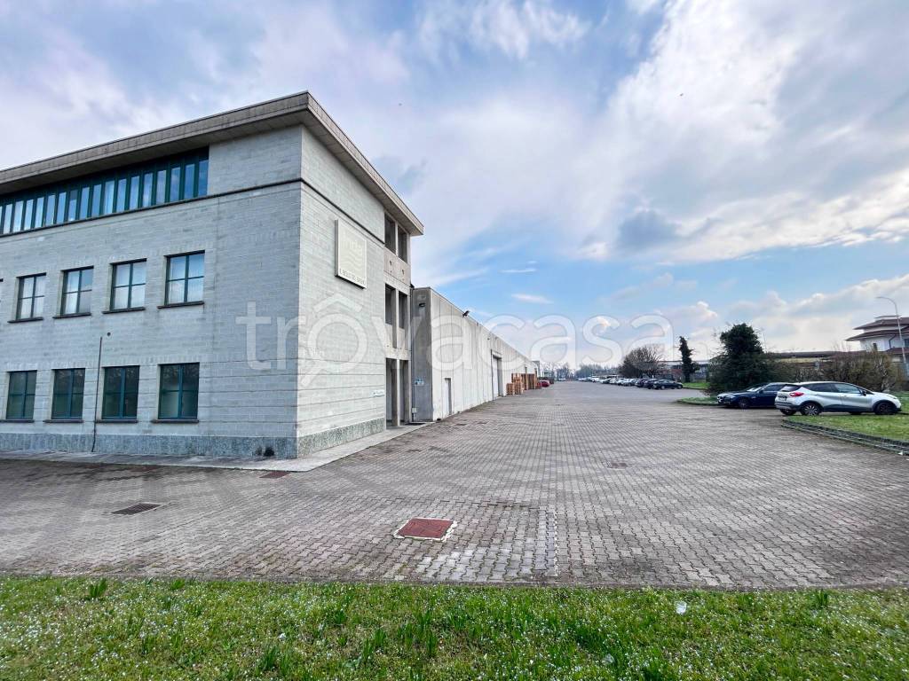 immagine annuncio 12 di 15