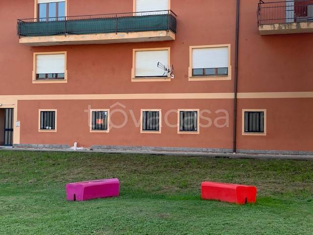 immagine annuncio 2 di 6