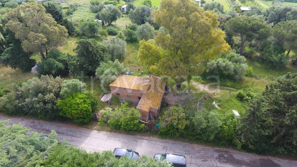 immagine annuncio 3 di 4