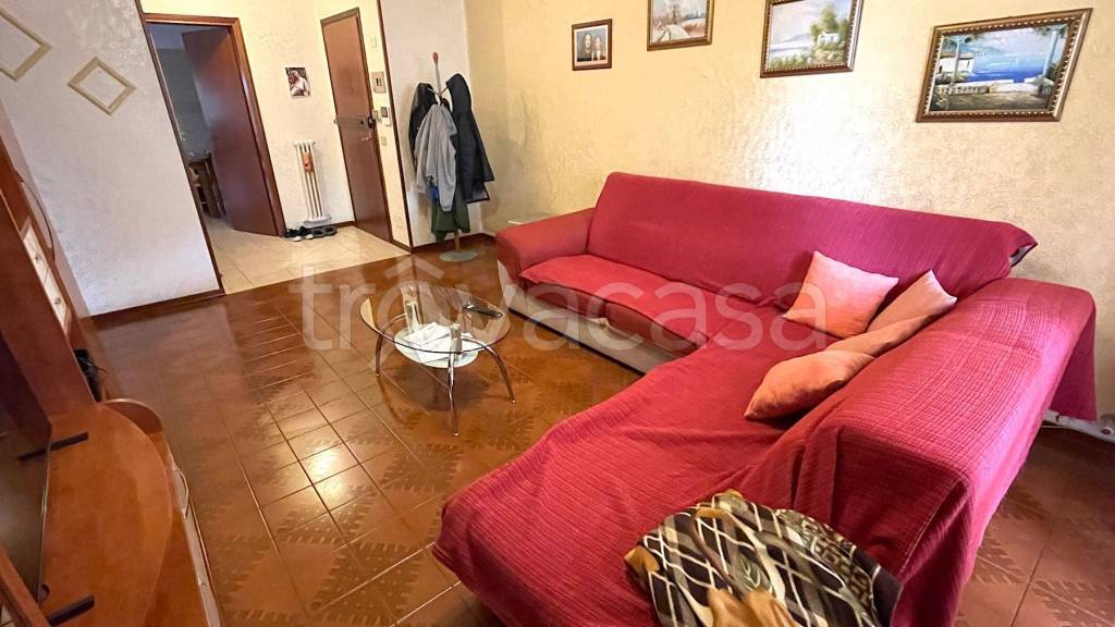 immagine annuncio 1 di 14