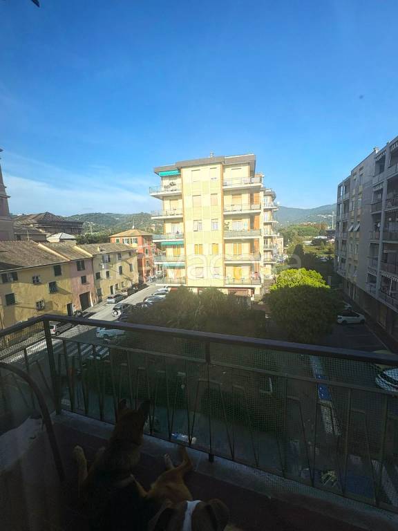 immagine annuncio 5 di 8