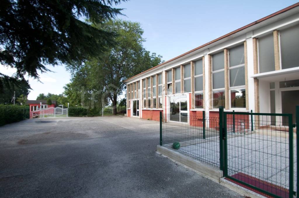 immagine annuncio 3 di 12