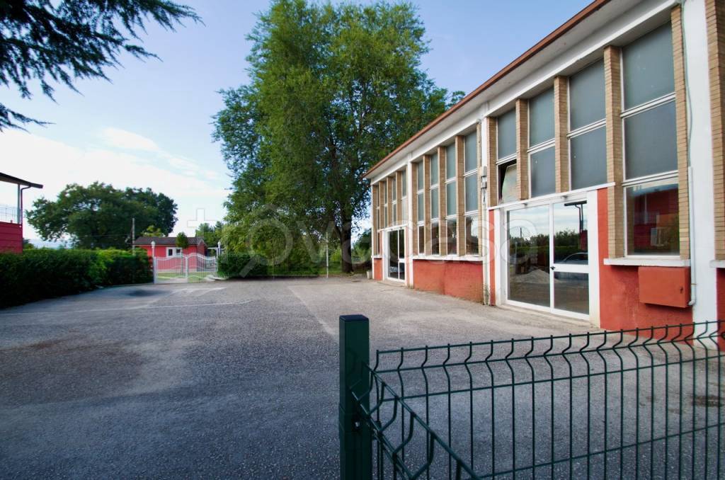 immagine annuncio 4 di 12