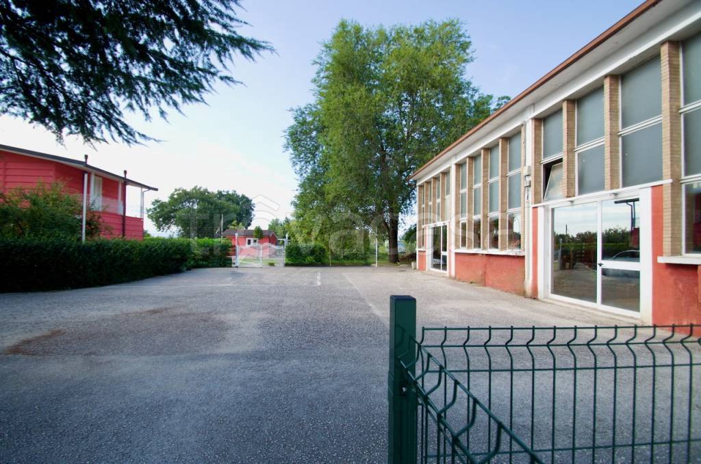 immagine annuncio 5 di 12