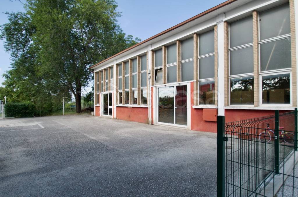 immagine annuncio 6 di 12