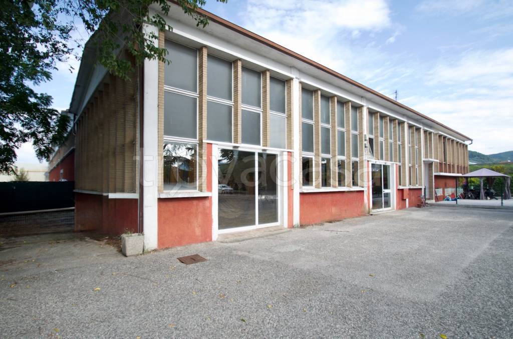 immagine annuncio 7 di 12