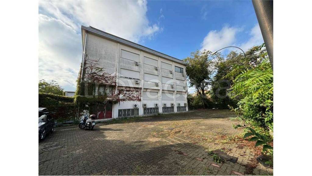 immagine annuncio 1 di 12