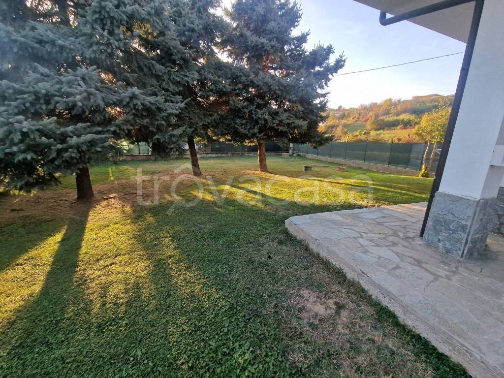 immagine annuncio 4 di 14