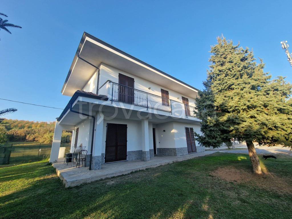 immagine annuncio 9 di 14