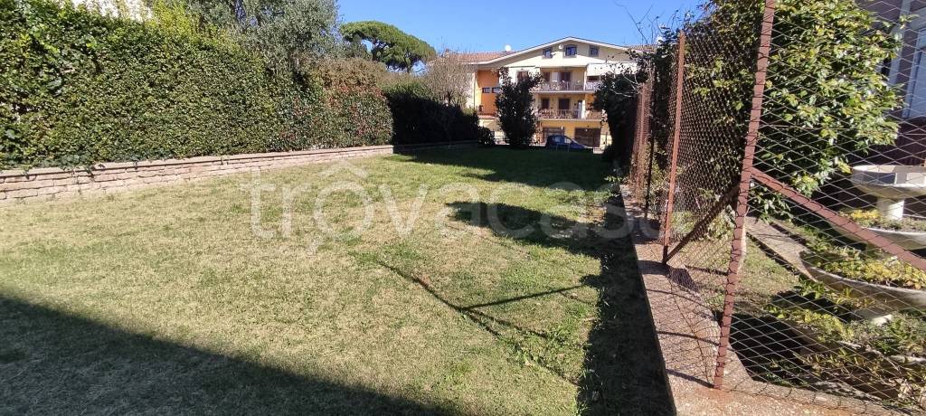 immagine annuncio 12 di 14