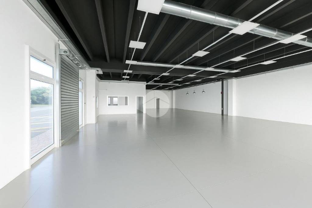 immagine annuncio 3 di 7