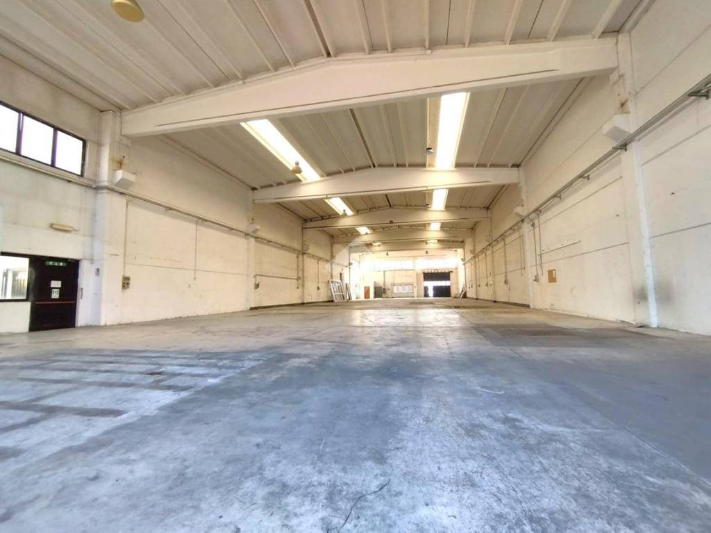 immagine annuncio 9 di 15