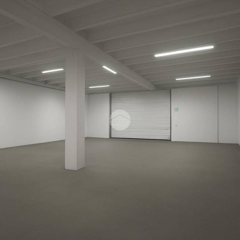 immagine annuncio 2 di 8