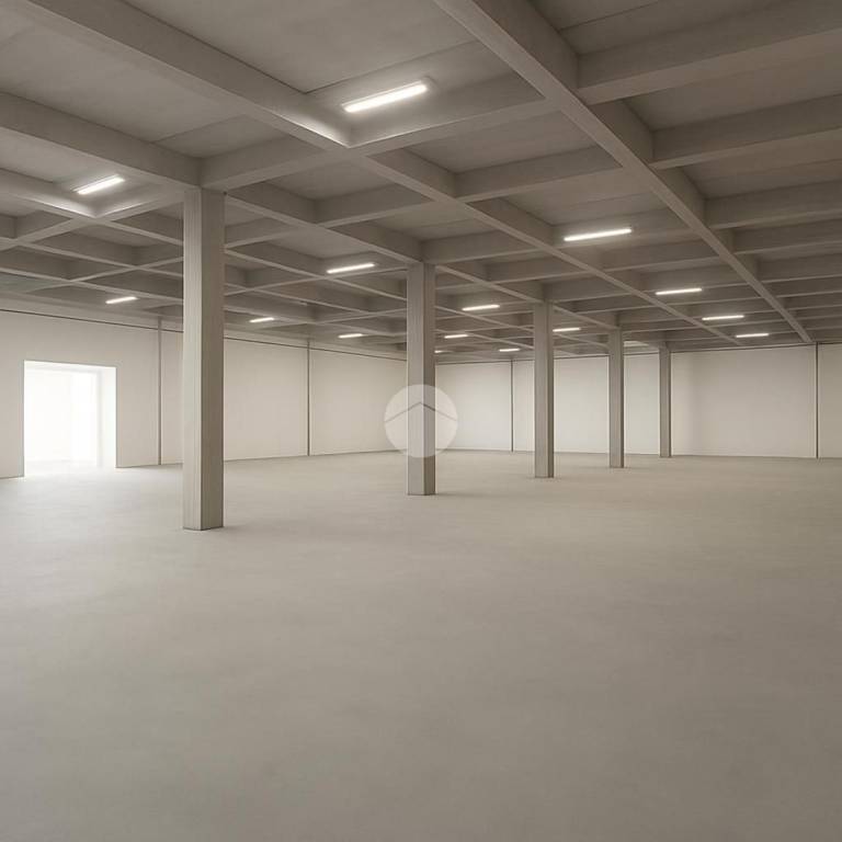 immagine annuncio 3 di 8